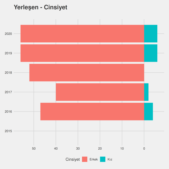 Mekatronik yıllara göre cinsiyet