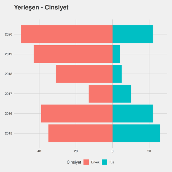 Bilgisayar Programcılığı yıllara göre cinsiyet