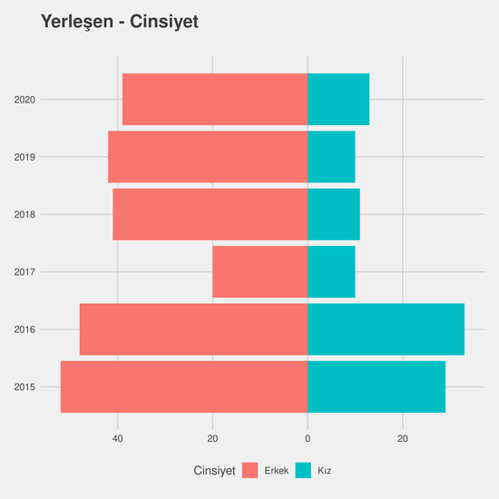 Bilgisayar Programcılığı yıllara göre cinsiyet