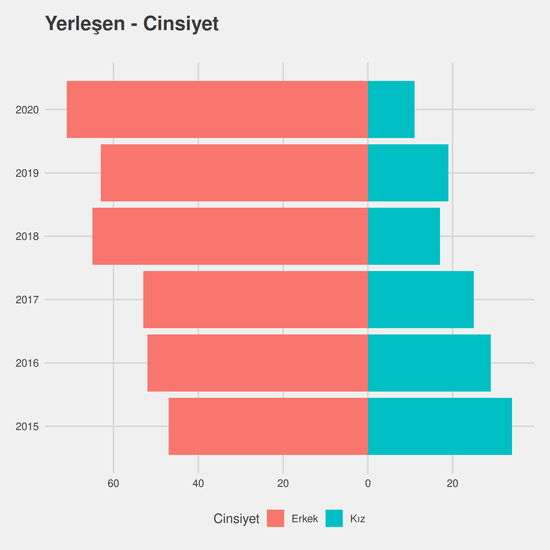 Bilgisayar Programcılığı yıllara göre cinsiyet