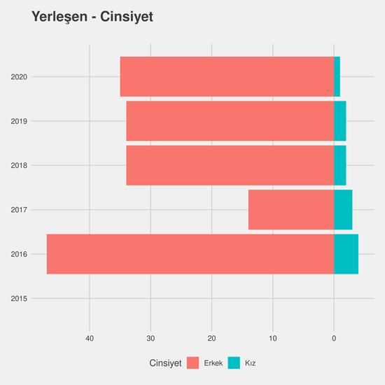 Mekatronik yıllara göre cinsiyet