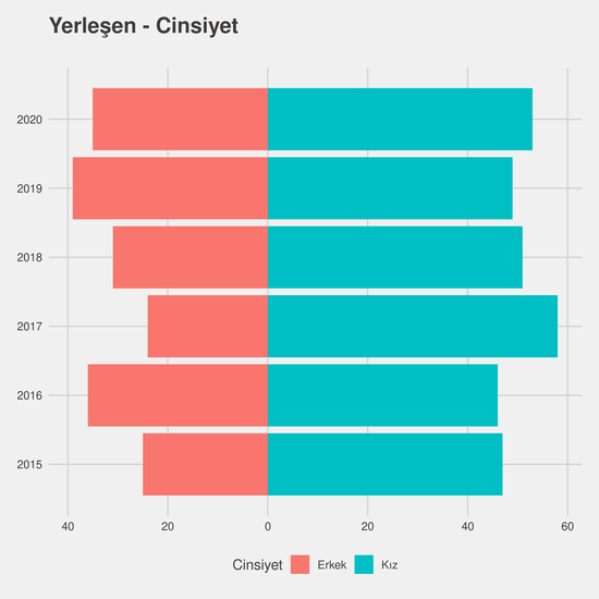 Endüstri Mühendisliği yıllara göre cinsiyet