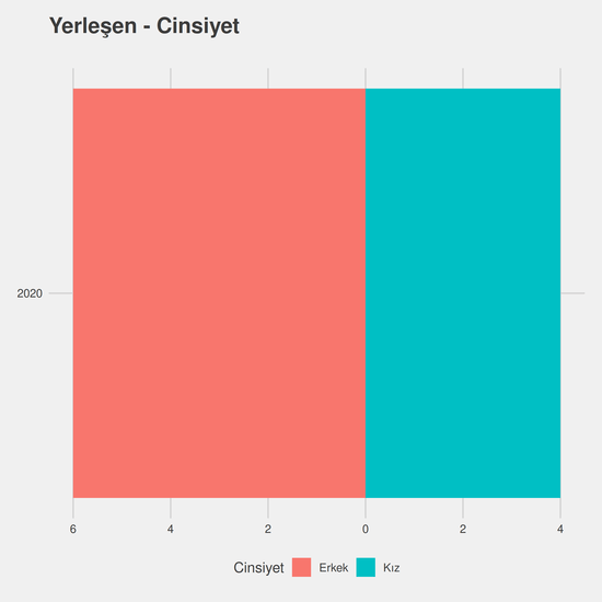 İç Mekan Tasarımı yıllara göre cinsiyet