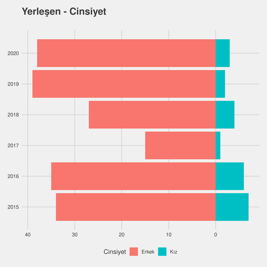 Mekatronik yıllara göre cinsiyet