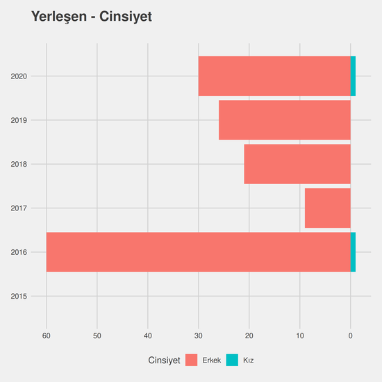 Elektrik yıllara göre cinsiyet