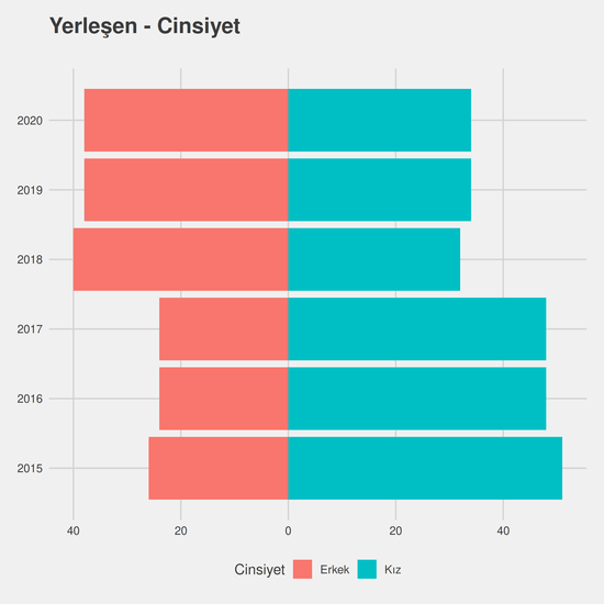 Sanat Tarihi yıllara göre cinsiyet