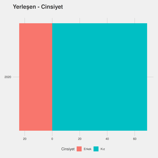 Fizyoterapi yıllara göre cinsiyet