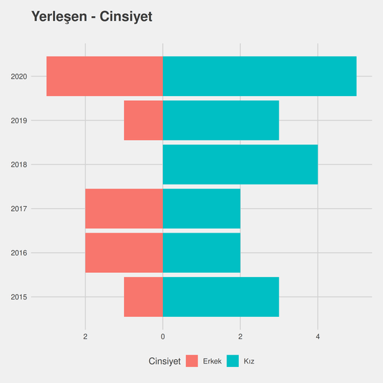 Endüstri Mühendisliği - İngilizce - Burslu yıllara göre cinsiyet