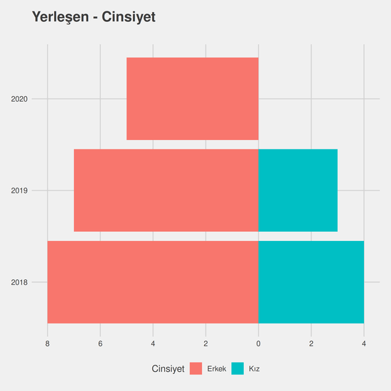 Matematik - İngilizce - Burslu yıllara göre cinsiyet