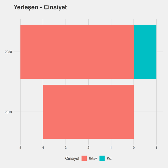 Elektrik - Burslu yıllara göre cinsiyet