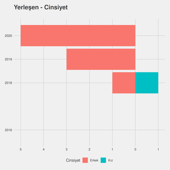 Elektrik - Burslu yıllara göre cinsiyet