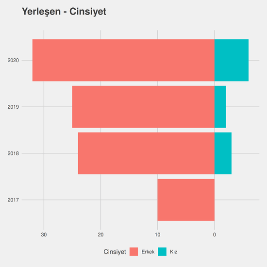 Bilgisayar Programcılığı - %50 İndirimli yıllara göre cinsiyet