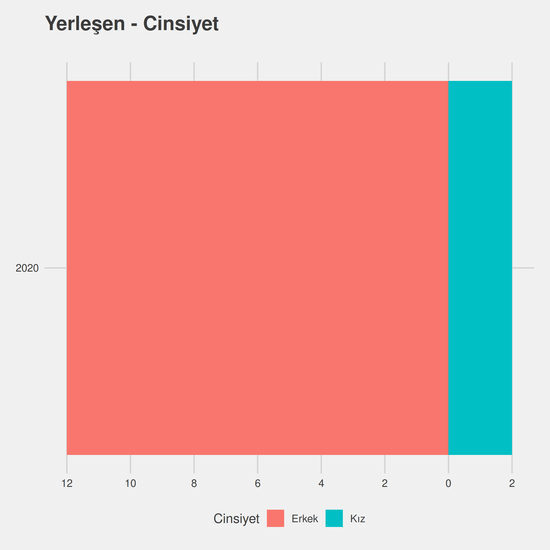 Bilişim Güvenliği Teknolojisi - %50 İndirimli yıllara göre cinsiyet