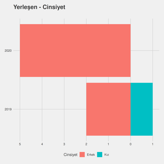 Ekonomi - İngilizce - Burslu yıllara göre cinsiyet