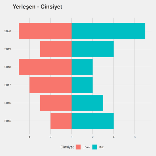 Endüstri Mühendisliği - İngilizce - Burslu yıllara göre cinsiyet