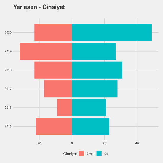 Endüstri Mühendisliği - İngilizce - %50 İndirimli yıllara göre cinsiyet