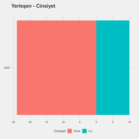 Yazılım Mühendisliği - İngilizce - Ücretli yıllara göre cinsiyet